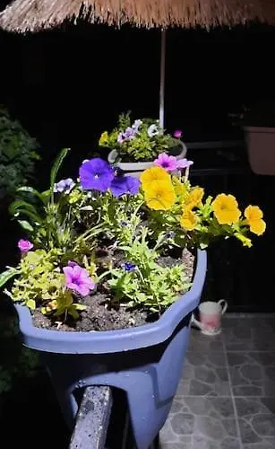 Kapo- Klima,parking Σαράγεβο